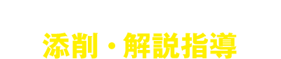 日本で唯一動画による添削・解説指導