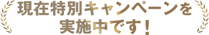 現在特別キャンペーンを実施中です！